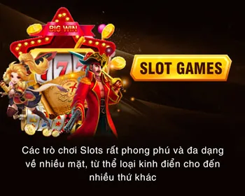 Chương trình VIP và điểm thưởng